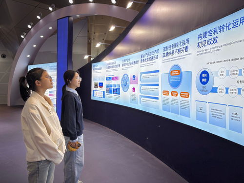 我校師生參加第十四屆中國(guó)國(guó)際專(zhuān)利技術(shù)與產(chǎn)品交易會(huì)，聚焦信息技術(shù)咨詢服務(wù)創(chuàng)新